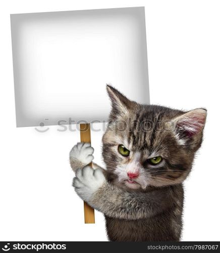 Angry cat holding a blank card sign as an annoyed and furious cute kitten feline with an enraged expression protesting and communicating a message pertaining to pet care on an isolated white background.