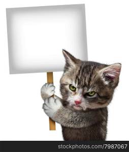 Angry cat holding a blank card sign as an annoyed and furious cute kitten feline with an enraged expression protesting and communicating a message pertaining to pet care on an isolated white background.