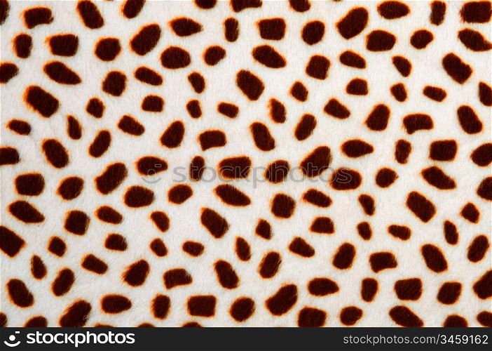 Animal background - leopard pattern texture -