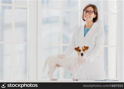 Animal care and health. Indoor shot of woman vet in white gown and medical gloves, stands near examination table, examines dog, pets puppy, pose in modern veterinary clinic against big window.