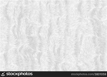 Animal fur image of a nice fur background