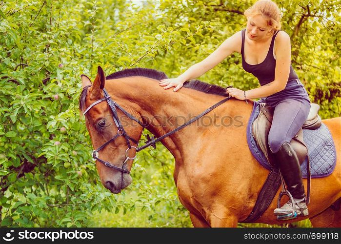 Animal, horse riding concept. Young woman sitting on horse and stroking its fringe. Young woman stroking and sitting on horse