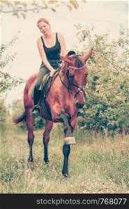 Animal, horsemanship concept. Young woman ridding on a horse through garden on sunny spring day. Young woman ridding on a horse