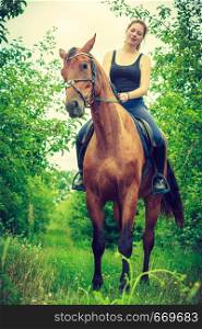 Animal, horsemanship concept. Young woman sitting and ridding on a horse through garden on sunny spring day. Young woman sitting on a horse