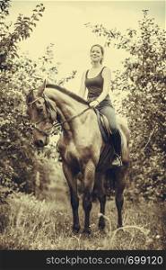 Animal, horsemanship concept. Young woman sitting and ridding on a horse through garden on sunny spring day, sepia. Young woman sitting on a horse