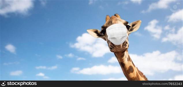 animal, nature and wildlife concept - giraffe wearing face protective medical mask for protection from virus disease ove blue sky on background. giraffe in medical mask over sky