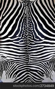 animal zebra skin black and white fur stripes leather background