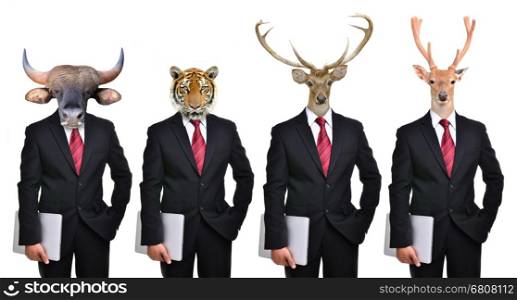 animals dressed up as formal business man, deer tiger bear bison gaur