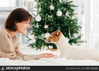 Animals, loyalty and people concept. Smiling brunette lady in oversized brown sweater plays with pedigree dog, lie on comfortable white bed against decorated New Year tree, enjoy Christmas eve