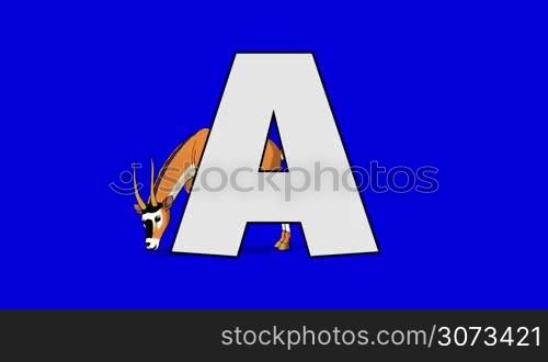 Animated animal alphabet. HD footage with chroma key. Animal in a background of letter