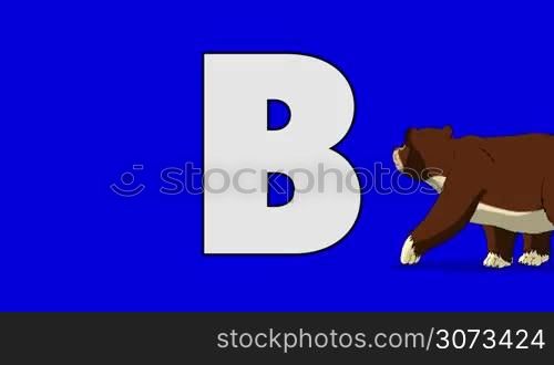 Animated animal alphabet. HD footage with chroma key. Animal in a foreground of letter.