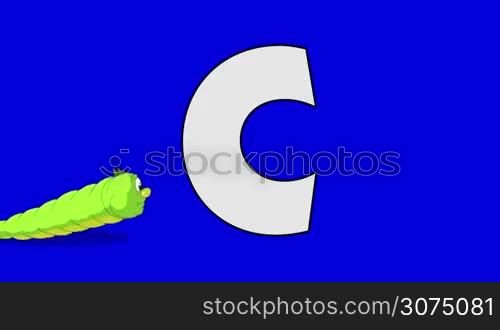 Animated animal alphabet. Motion graphic with chroma key. Animal in a foreground of a letter.