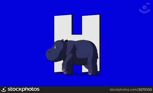 Animated animal alphabet. Motion graphic with chroma key. Animal in a foreground of a letter.