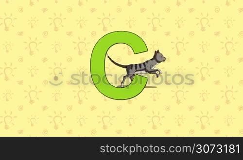 Animated English ZOO alphabet. Letter C and word Cat. 2D handmade animated.