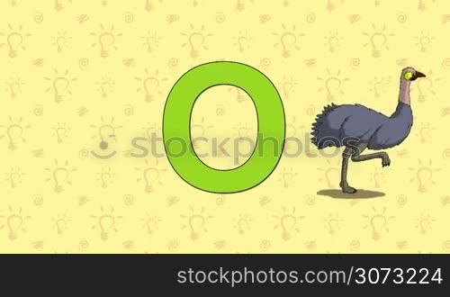Animated English ZOO alphabet. Letter O and word Ostrich. 2D