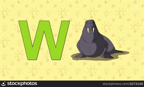 Animated English ZOO alphabet. Letter W and word Walrus.
