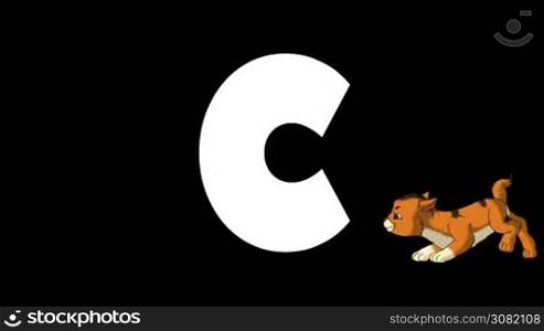 Animated zoological English alphabet. Alpha matte motion graphic. Cartoon Cat in a foreground of a letter C