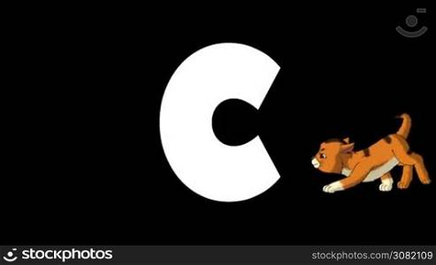 Animated zoological English alphabet. Alpha matte motion graphic. Cartoon Cat in a background of a letter C