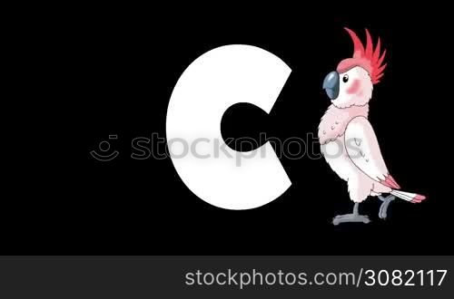 Animated zoological English alphabet. Alpha matte motion graphic. Cartoon Cockatoo in a foreground of a letter C