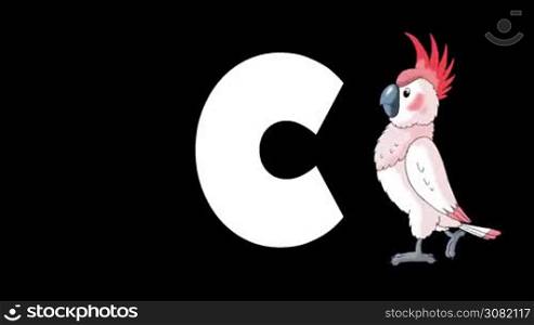 Animated zoological English alphabet. Alpha matte motion graphic. Cartoon Cockatoo in a foreground of a letter C
