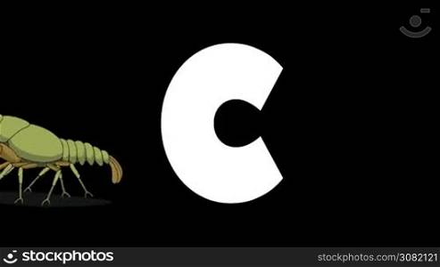 Animated zoological English alphabet. Alpha matte motion graphic. Cartoon Crayfish in a background of a letter C