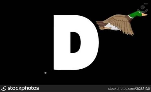 Animated zoological English alphabet. Alpha matte motion graphic. Cartoon Duck in a foreground of a letter D