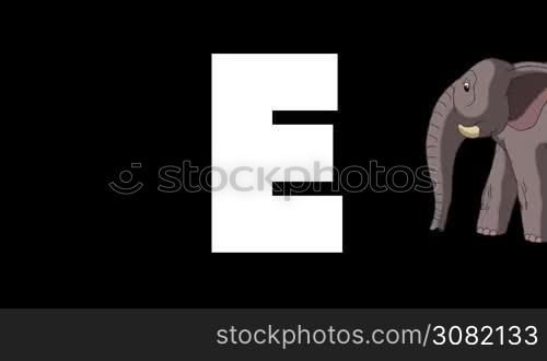 Animated zoological English alphabet. Alpha matte motion graphic. Cartoon Elephant in a background of a letter E