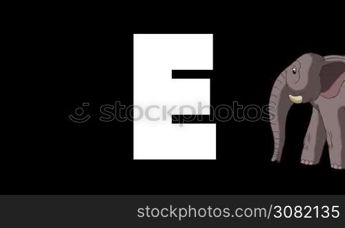 Animated zoological English alphabet. Alpha matte motion graphic. Cartoon Elephant in a foreground of a letter E