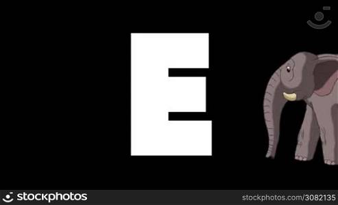 Animated zoological English alphabet. Alpha matte motion graphic. Cartoon Elephant in a foreground of a letter E