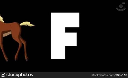 Animated zoological English alphabet. Alpha matte motion graphic. Cartoon Foal in a foreground of a letter F