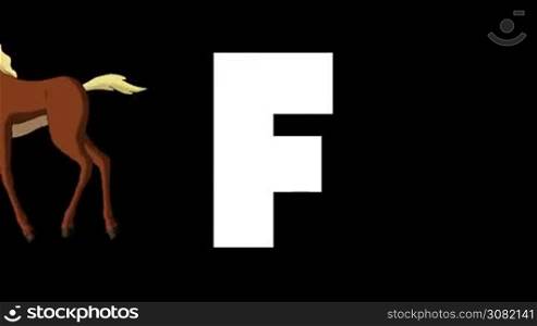 Animated zoological English alphabet. Alpha matte motion graphic. Cartoon Foal in a background of a letter F