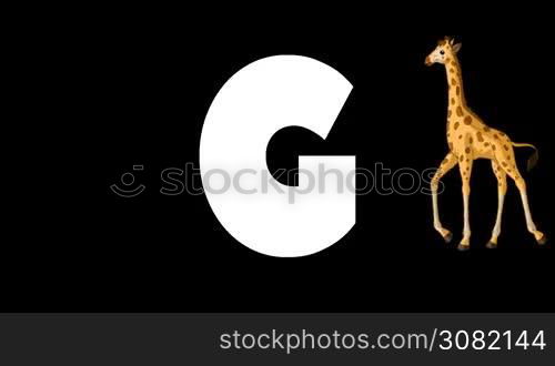 Animated zoological English alphabet. Alpha matte motion graphic. Cartoon Giraffe in a background of a letter G