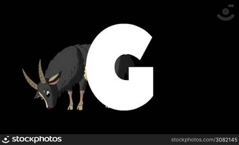 Animated zoological English alphabet. Alpha matte motion graphic. Cartoon Goat in a background of a letter G