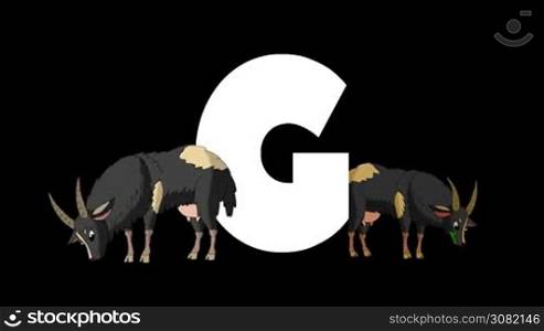 Animated zoological English alphabet. Alpha matte motion graphic. Cartoon Goat in a foreground of a letter G