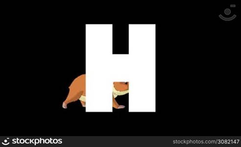 Animated zoological English alphabet. Alpha matte motion graphic. Cartoon Hamster in a background of a letter H