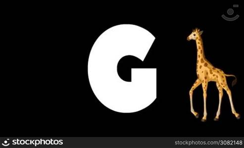 Animated zoological English alphabet. Alpha matte motion graphic. Cartoon Giraffe in a foreground of a letter G