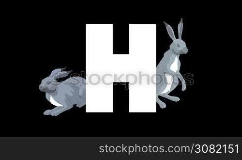 Animated zoological English alphabet. Alpha matte motion graphic. Cartoon Hare in a background of a letter H