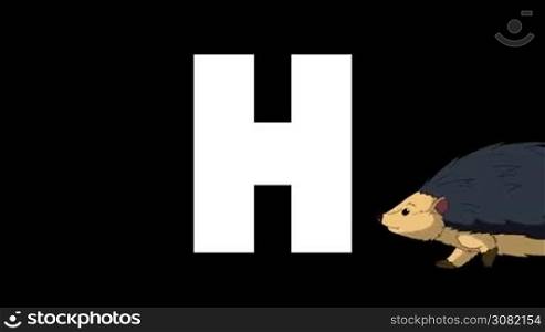 Animated zoological English alphabet. Alpha matte motion graphic. Cartoon Hedgehog in a foreground of a letter H