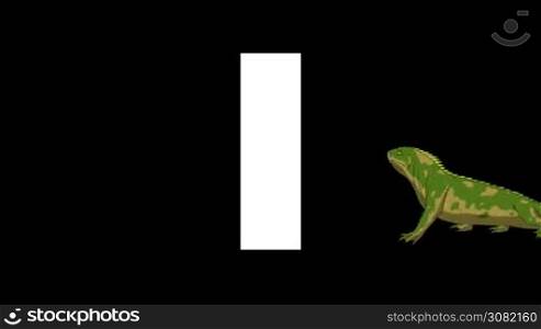 Animated zoological English alphabet. Alpha matte motion graphic. Cartoon Iguana in a background of a letter I