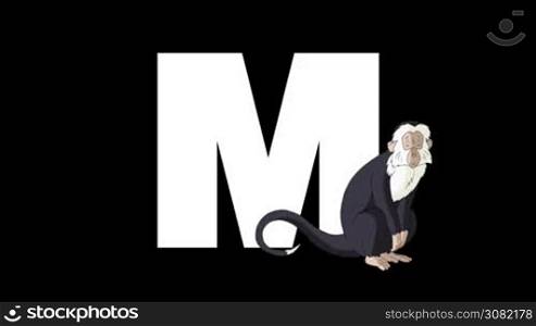Animated zoological English alphabet. Alpha matte motion graphic. Cartoon Monkey in a foreground of a letter M