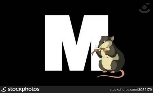 Animated zoological English alphabet. Alpha matte motion graphic. Cartoon Mouse in a foreground of a letter M