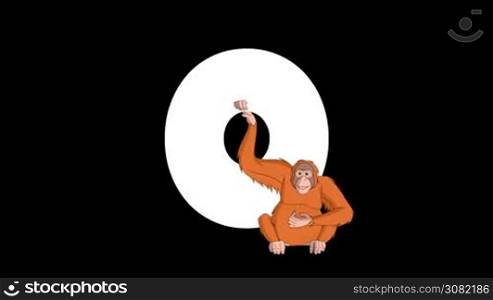 Animated zoological English alphabet. Alpha matte motion graphic. Cartoon Orangutan in a foreground of a letter O