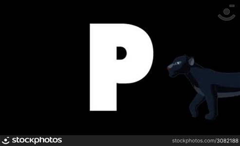 Animated zoological English alphabet. Alpha matte motion graphic. Cartoon Panther in a foreground of a letter P