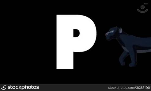 Animated zoological English alphabet. Alpha matte motion graphic. Cartoon Panther in a background of a letter P