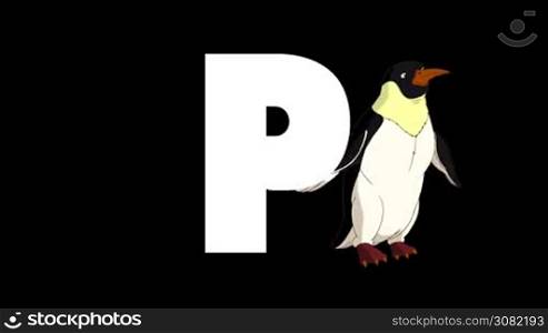 Animated zoological English alphabet. Alpha matte motion graphic. Cartoon Penguin in a background of a letter P
