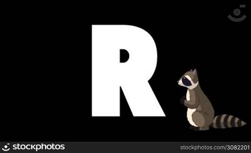 Animated zoological English alphabet. Alpha matte motion graphic. Cartoon Raccoon in a background of a letter R