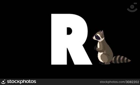 Animated zoological English alphabet. Alpha matte motion graphic. Cartoon Raccoon in a foreground of a letter R
