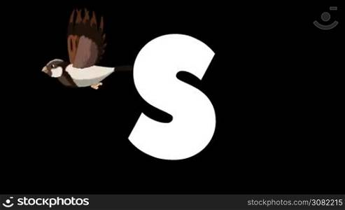 Animated zoological English alphabet. Alpha matte motion graphic. Cartoon Sparrow in a background of a letter S