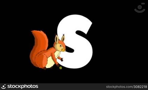 Animated zoological English alphabet. Alpha matte motion graphic. Cartoon Squirrel in a foreground of a letter S