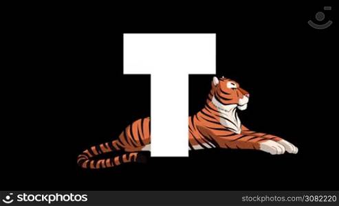 Animated zoological English alphabet. Alpha matte motion graphic. Cartoon Tiger in a background of a letter T